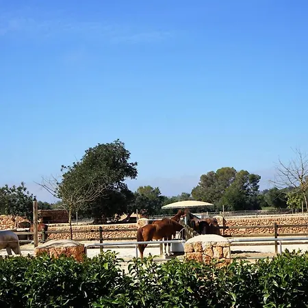 Hotel Vmg Horse Ranch Llucmajor (Mallorca)