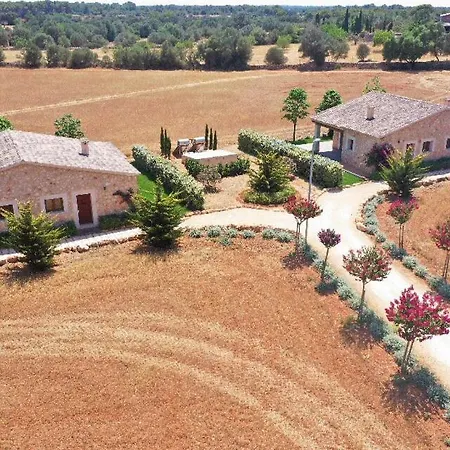 Vmg Horse Ranch