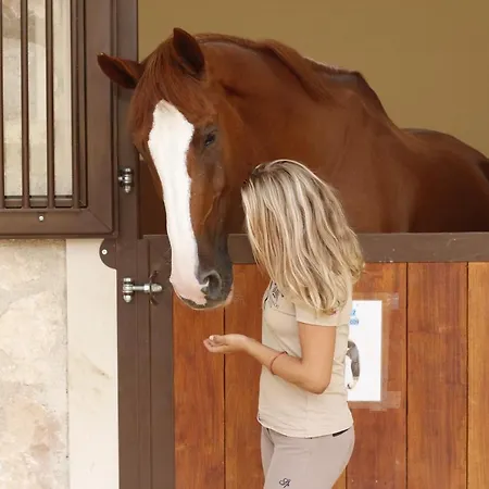 Vmg Horse Ranch