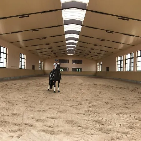 Vmg Horse Ranch Llucmajor (Mallorca)